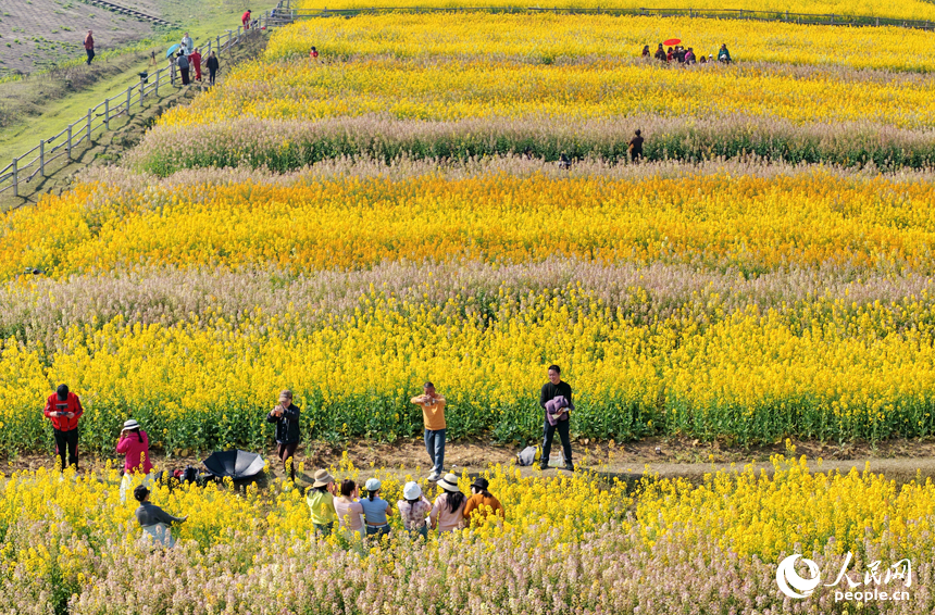 色彩斑斓的美景吸引许多游客前来观赏游玩。人民网记者 朱海鹏摄