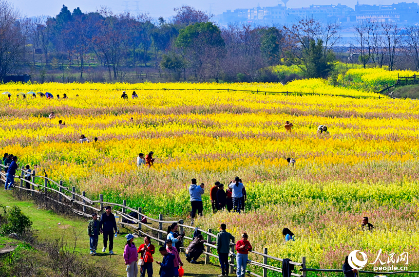色彩斑斕的美景吸引許多游客前來觀賞游玩。人民網記者 朱海鵬攝