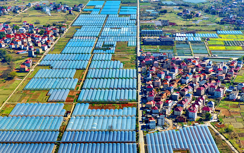 江西兴国：设施农业提质增效助增收