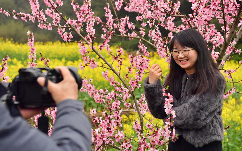 江西崇仁：十里桃林 画中踏青