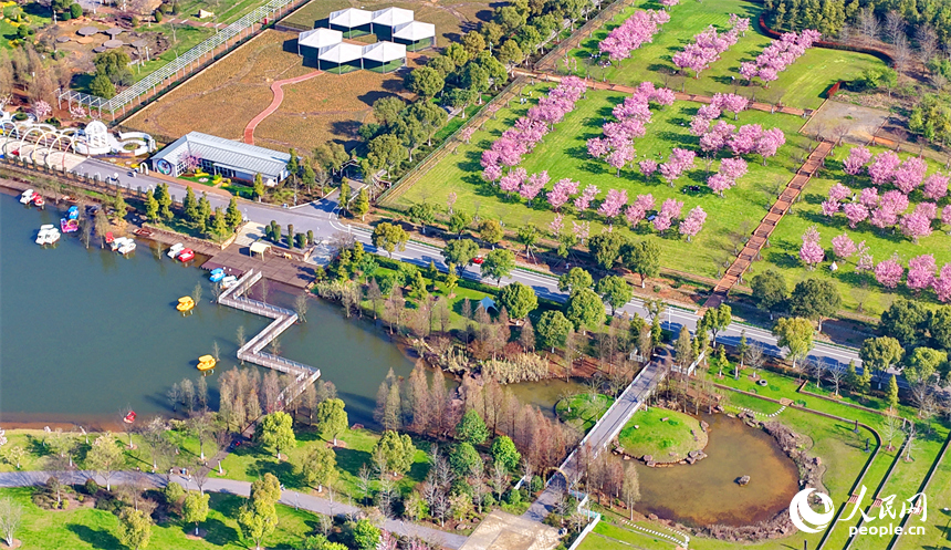 各式各樣的民宿木屋、露營帳篷相映成趣，吸引游客前來體驗游玩，樂享春光。人民網記者 朱海鵬攝