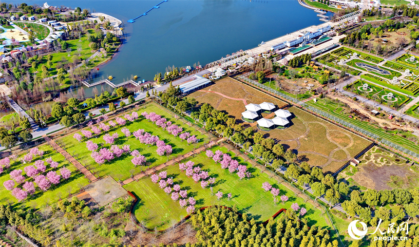 各式各樣的民宿木屋、露營帳篷相映成趣，吸引游客前來體驗游玩，樂享春光。人民網記者 朱海鵬攝