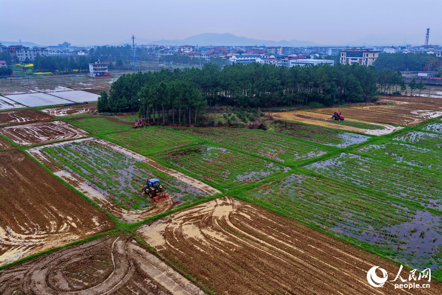 农机手驾驶着拖拉机在翻耕农田。人民网记者 朱海鹏摄