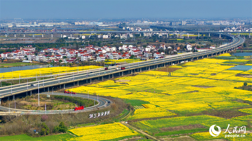 驰骋的车辆与公路沿线盛开的油菜花相映成景，构成一幅公路畅、春景美的独特画卷。人民网记者 朱海鹏摄