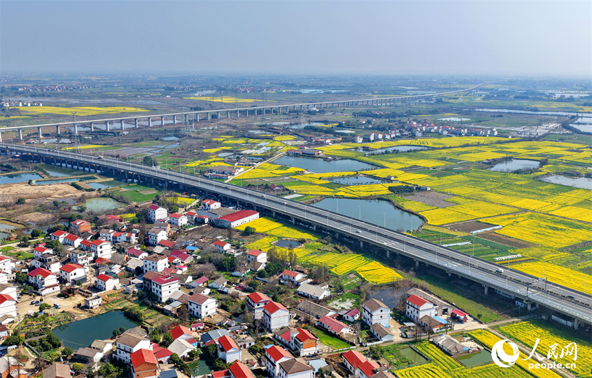 驰骋的车辆与公路沿线盛开的油菜花相映成景，构成一幅公路畅、春景美的独特画卷。人民网记者 朱海鹏摄