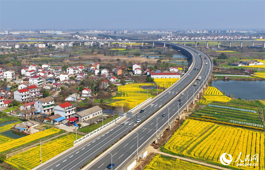 驰骋的车辆与公路沿线盛开的油菜花相映成景，构成一幅公路畅、春景美的独特画卷。人民网记者 朱海鹏摄