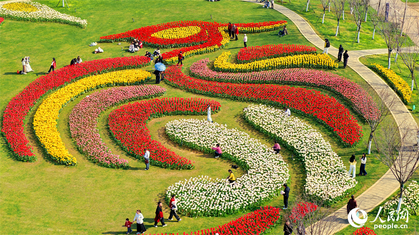 南昌鳳凰溝景區春花爛漫，游客踏青賞花，樂享春光。人民網記者 朱海鵬攝