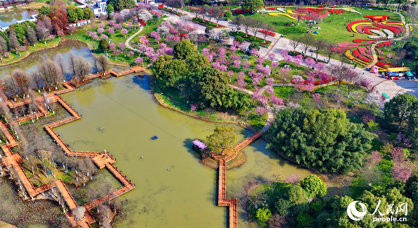 南昌凤凰沟景区春花烂漫，游客踏青赏花，乐享春光。人民网记者 朱海鹏摄