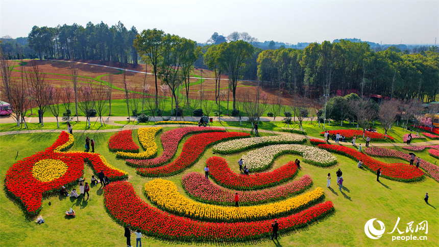 南昌凤凰沟景区春花烂漫，游客踏青赏花，乐享春光。人民网记者 朱海鹏摄