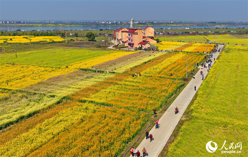 色彩缤纷的油菜花吸引众多游客前来观赏游玩，乐享春日好光景。人民网记者 朱海鹏摄