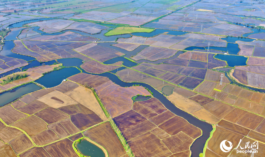 南昌市南昌县蒋巷镇五丰村，翻耕后的农田色彩斑斓，美如画卷。人民网记者 朱海鹏摄