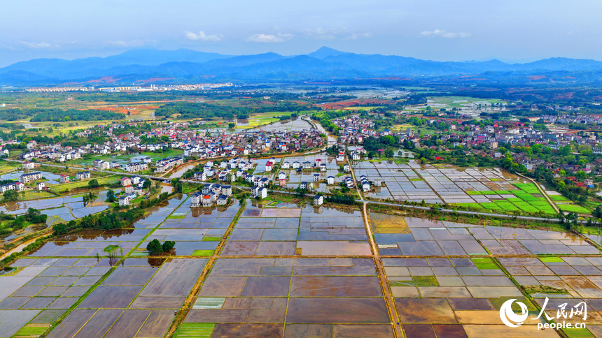 樂安縣龔坊鎮陀上村一帶，灌溉打漿后的農田與蜿蜒的灌渠、錯落有致的房屋、縱橫交織的公路相互映襯，美如畫卷。人民網記者 朱海鵬攝