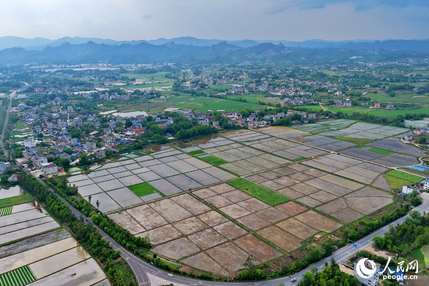 会昌县周田镇小田村一带，翻耕蓄水的农田线条分明，平整如镜。人民网记者 朱海鹏摄