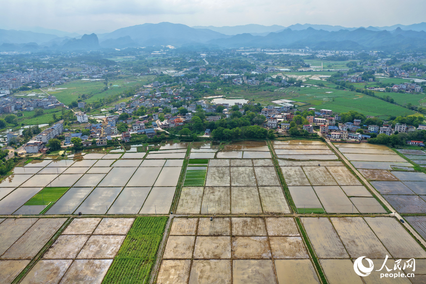 会昌县周田镇小田村一带，翻耕蓄水的农田线条分明，平整如镜。人民网记者 朱海鹏摄