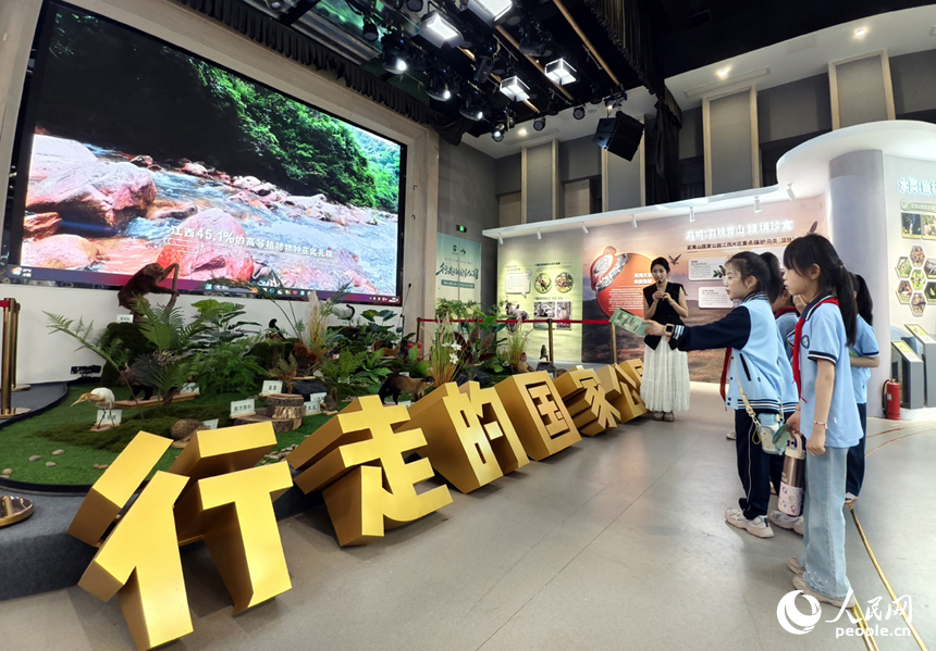 學生們在江西南昌紅谷灘區鴻鵠裡參觀“行走的國家公園”生態文化展。人民網記者 時雨攝