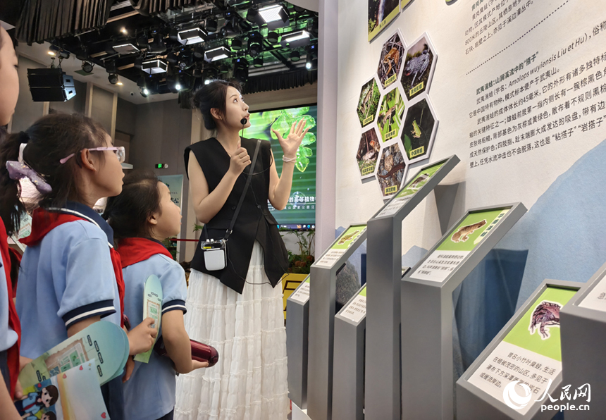 展館工作人員為學生講解生存在武夷山江西片區的珍稀動植物。人民網記者 時雨攝