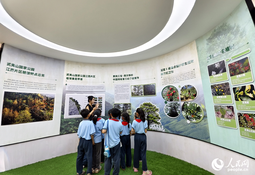 展館工作人員為學生講解生存在武夷山江西片區的珍稀動植物。人民網記者 時雨攝