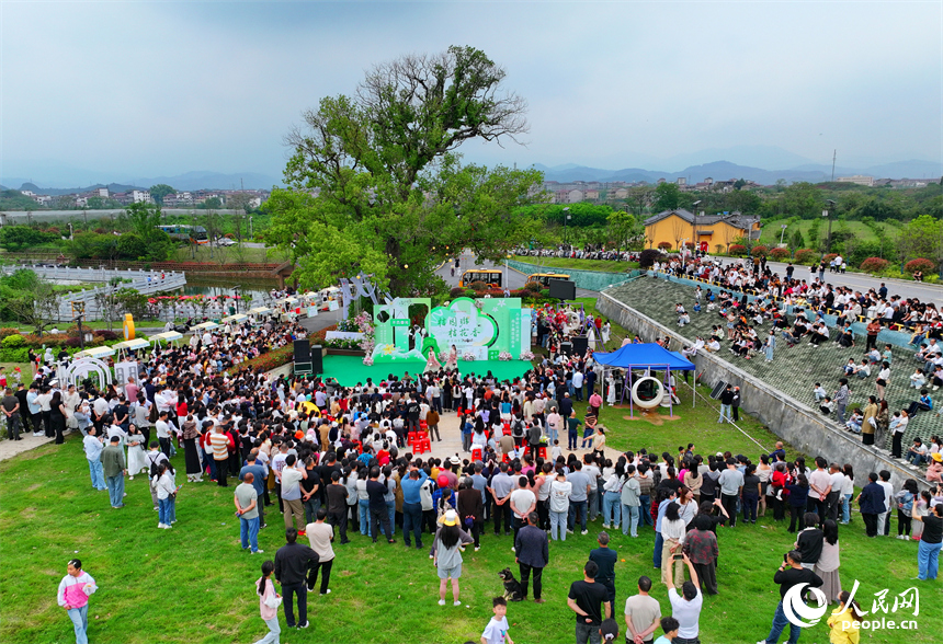 抚州市南丰县琴城镇水南村，许多游客前来参加“桔园游桔花香——醉美南丰游园会”活动，共赏春日美景，感受国潮文化的独特魅力。人民网记者 朱海鹏摄