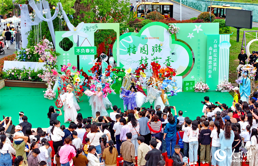抚州市南丰县琴城镇水南村，许多游客前来参加“桔园游桔花香——醉美南丰游园会”活动，共赏春日美景，感受国潮文化的独特魅力。人民网记者 朱海鹏摄