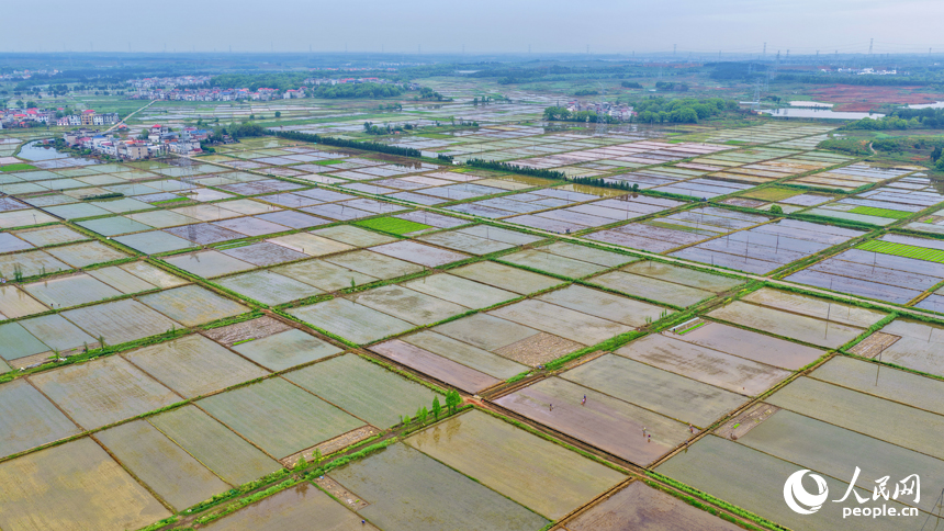 翻耕蓄水后的高标准农田宛如色彩斑斓的“调色盘”。人民网记者 朱海鹏摄
