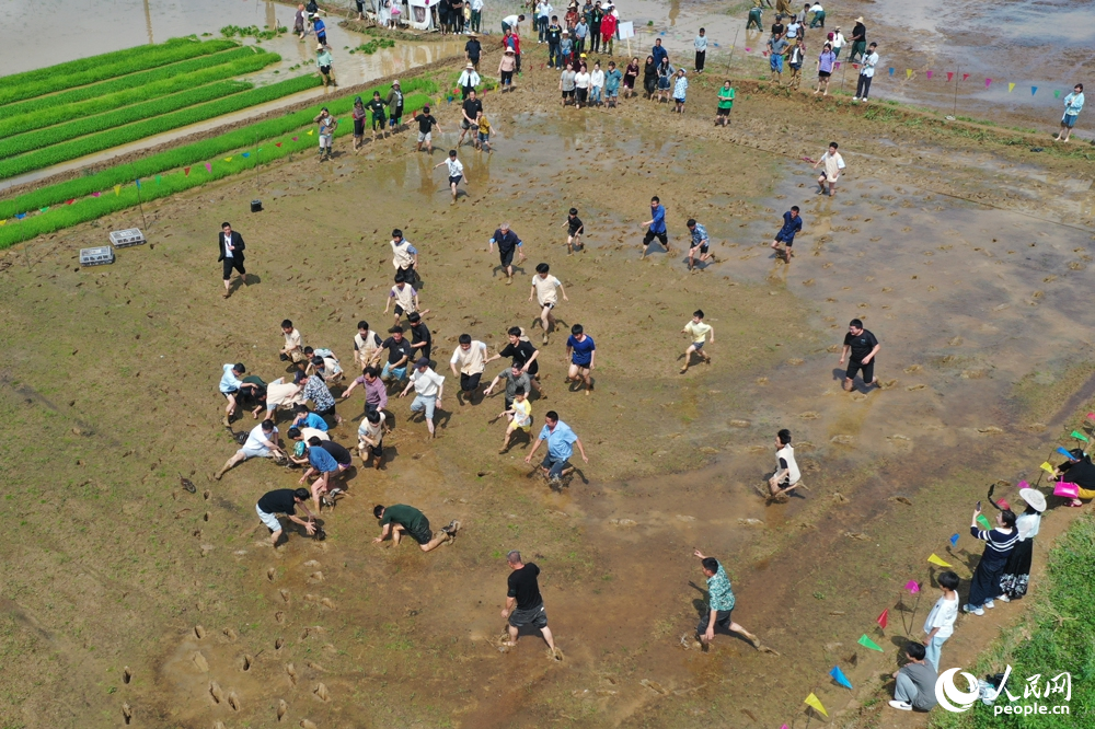 趣味横生的抓鸭子比赛让田间地头充满欢声笑语。人民网记者 时雨摄
