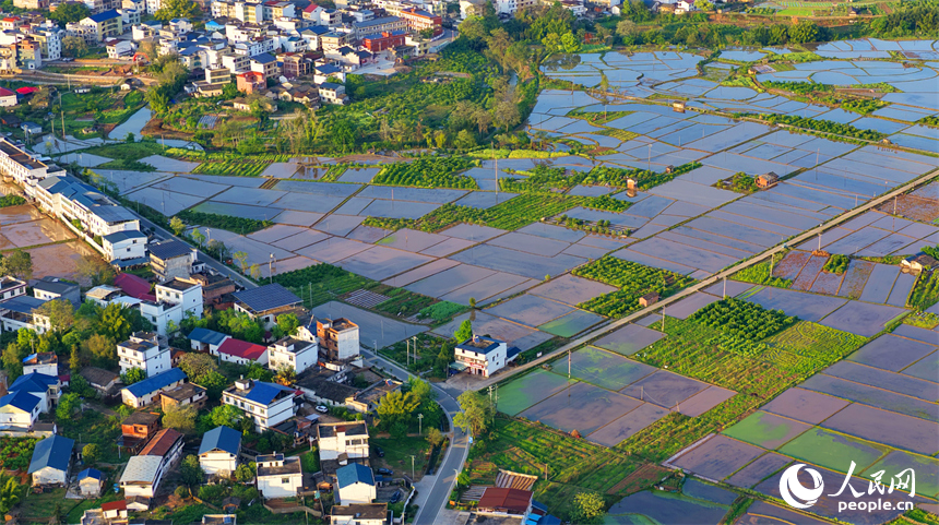 瑞金市武阳镇龙门村一带，星罗棋布的农田、鱼塘、房舍与河流、绿树、青山相映成景，构成一幅春天里的大美乡村画卷。人民网记者 朱海鹏摄