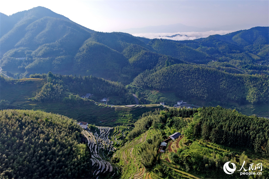 崇义县上堡乡上堡梯田，开灌后的梯田与森林、民宿相映成景，呈现出一幅绿意盎然的生态乡村画卷。人民网记者 朱海鹏摄