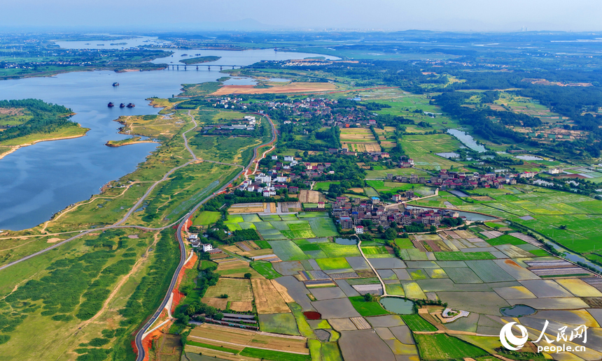 南昌市红谷滩区厚田镇木埠村，蜿蜒向前的公路如同银龙穿翠，与色彩斑斓的水田交织映衬，宜人夏景映入眼帘。人民网记者 朱海鹏摄