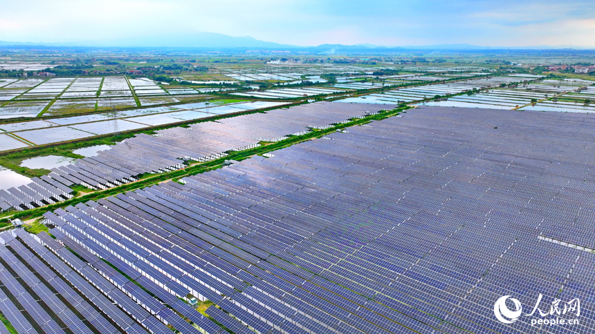 永修縣馬口鎮的農光互補種養基地，一片片光伏發電板蓋在養殖塘上，成為魚類水產的遮陽棚。人民網記者 朱海鵬攝