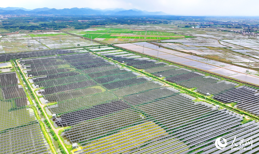 永修县马口镇的农光互补种养基地，一片片光伏发电板盖在养殖塘上，成为鱼类水产的遮阳棚。人民网记者 朱海鹏摄