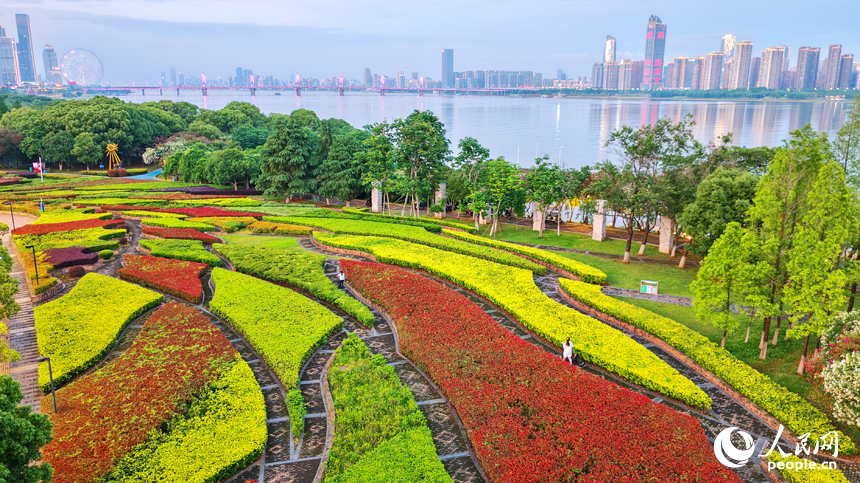 位於南昌市紅谷灘區紅角洲街道的贛江市民公園，江畔樹木繁茂、綠草如茵，吸引市民和游客前來休閑游玩。人民網記者 朱海鵬攝