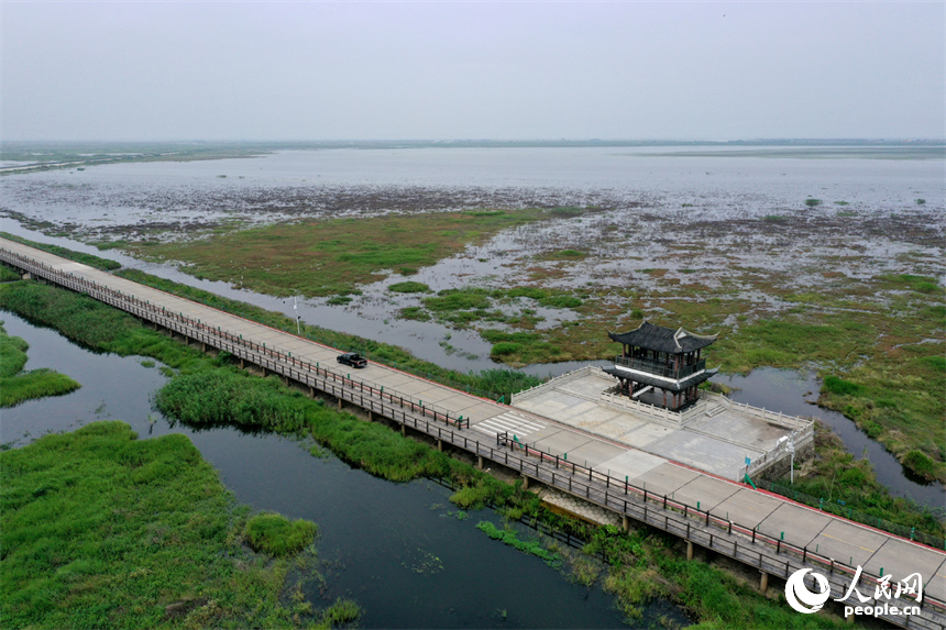 受近期降水影響，鄱陽湖水位持續上漲。圖為鄱陽湖吳城水上公路實況。人民網記者 時雨攝