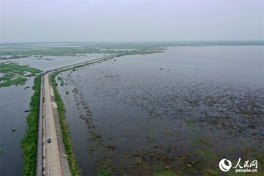 受近期降水影響，鄱陽湖水位持續上漲。圖為鄱陽湖吳城水上公路實況。人民網記者 時雨攝