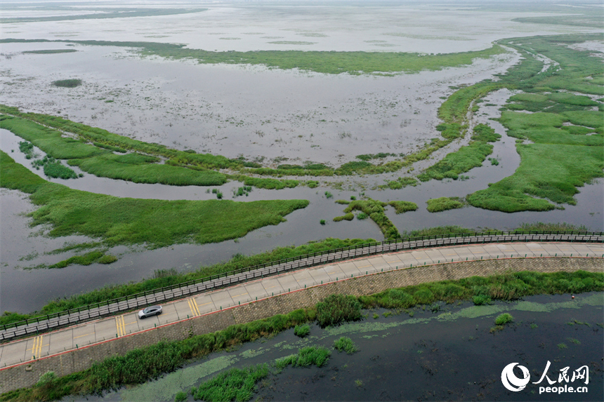 受近期降水影響，鄱陽湖水位持續上漲。圖為鄱陽湖吳城水上公路實況。人民網記者 時雨攝