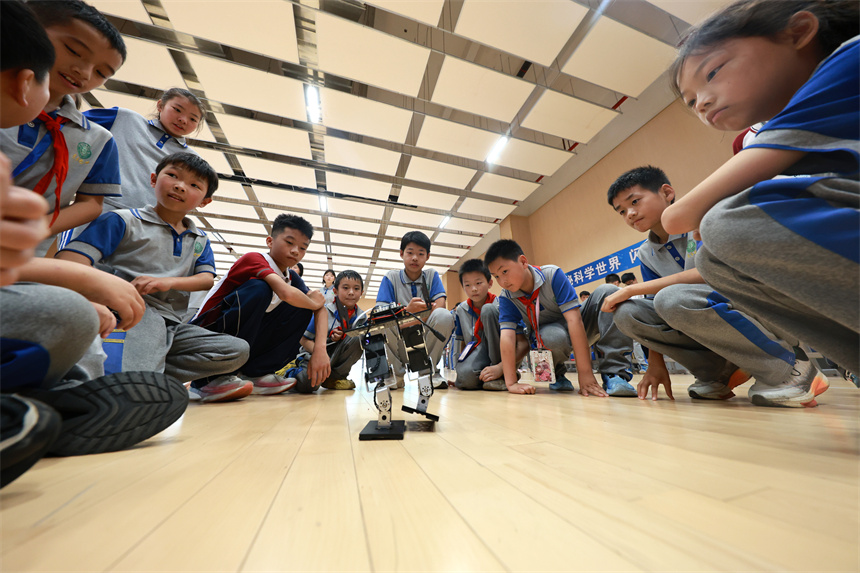 江西省抚州东乡区第七中学学生展示、观看学生创客创作的电子控制、智能设备等作品。何江华摄