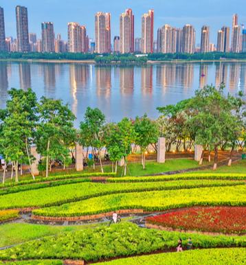 江西南昌：湿地公园 绿景怡人