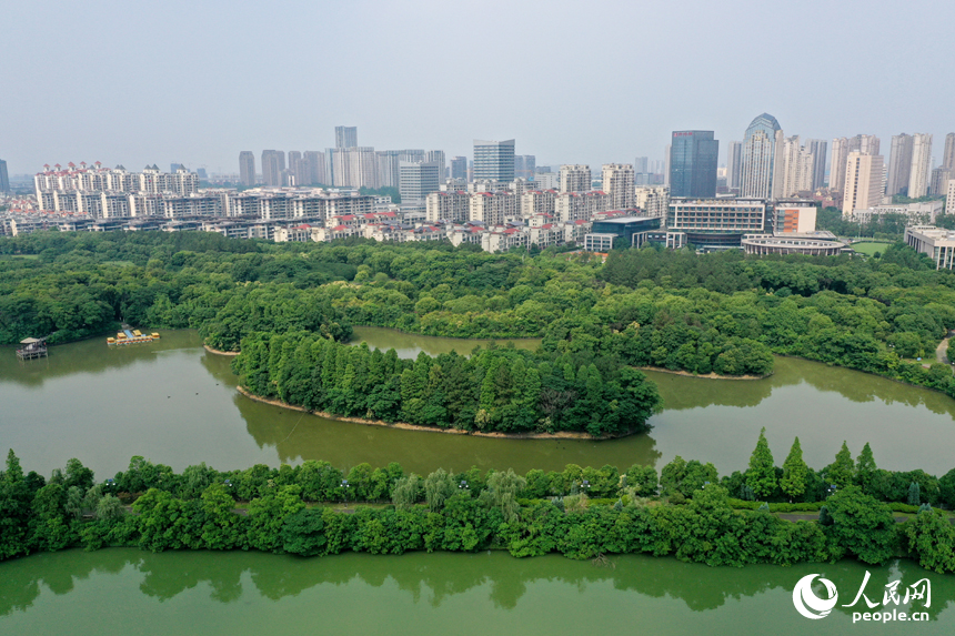艾溪湖濕地公園與周邊的居民區相映成景。人民網記者 時雨攝