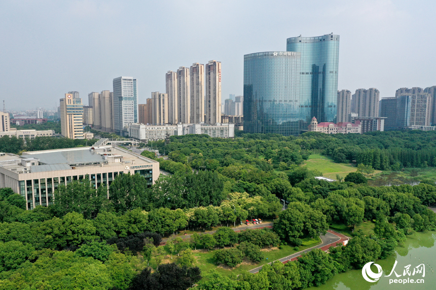 艾溪湖湿地公园内绿树成荫。人民网记者 时雨摄