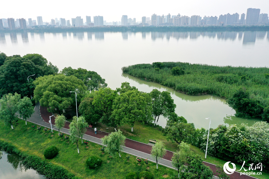 湿地公园规划了自行车道和步道，为市民提供了便捷的休闲空间。人民网记者 时雨摄