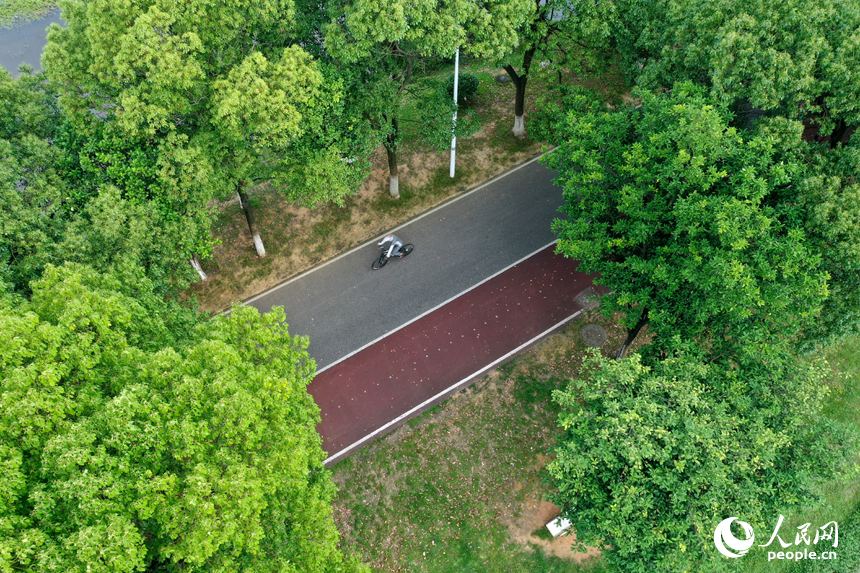 湿地公园规划了自行车道和步道，为市民提供了便捷的休闲空间。人民网记者 时雨摄