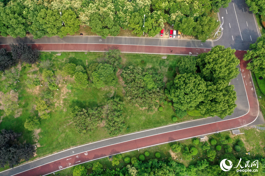 湿地公园规划了自行车道和步道，为市民提供了便捷的休闲空间。人民网记者 时雨摄