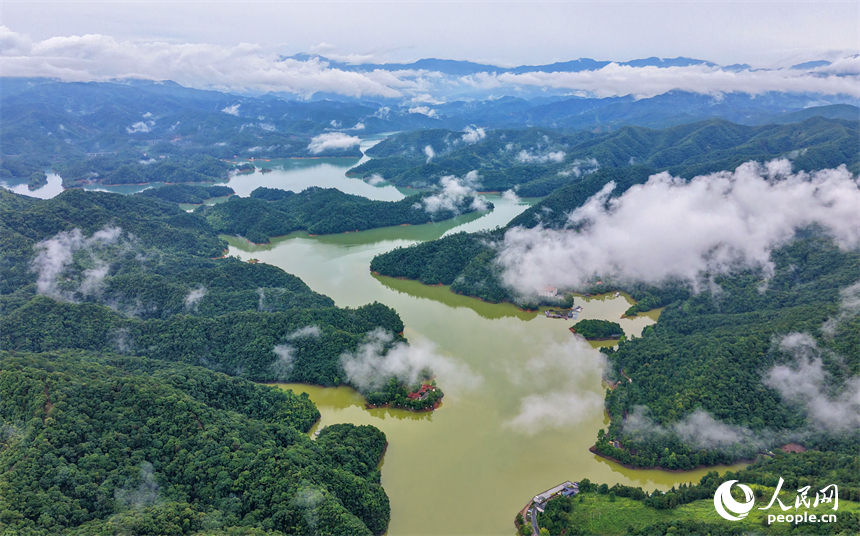 贛州市上猶縣上猶江水庫，煙波浩渺、雲蒸霧蔚，林木蔥翠的群山與蜿蜒水系相映成趣。人民網記者 朱海鵬攝