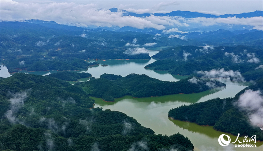 赣州市上犹县上犹江水库，烟波浩渺、云蒸雾蔚，林木葱翠的群山与蜿蜒水系相映成趣。人民网记者 朱海鹏摄