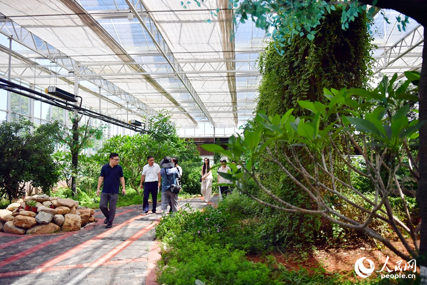 游客們在紅谷灘區元宇宙·VR數字農業示范基地種植大棚內觀賞各類珍貴植物。人民網記者 時雨攝