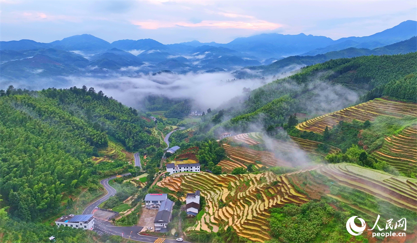 崇义县上堡乡上堡梯田，错落分布的乡村民居与葱茏草木、蜿蜒田垄相互映衬，构成一幅水丰土沃、梯田层叠的夏日田园画卷。人民网记者 朱海鹏摄