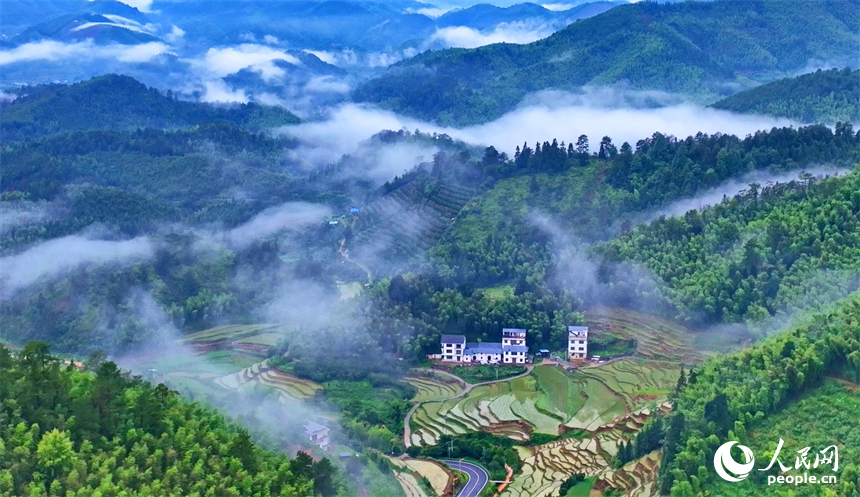 崇义县上堡乡上堡梯田，错落分布的乡村民居与葱茏草木、蜿蜒田垄相互映衬，构成一幅水丰土沃、梯田层叠的夏日田园画卷。人民网记者 朱海鹏摄