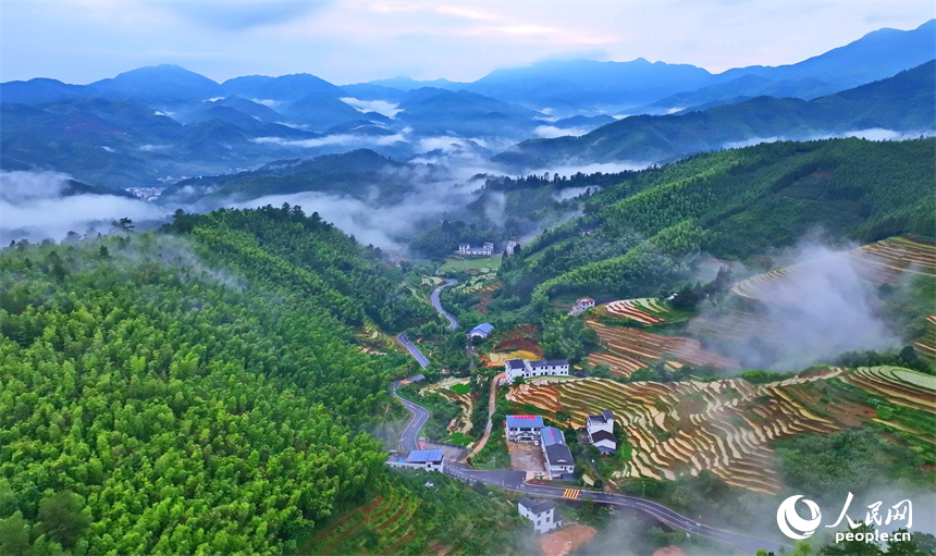 崇义县上堡乡上堡梯田，错落分布的乡村民居与葱茏草木、蜿蜒田垄相互映衬，构成一幅水丰土沃、梯田层叠的夏日田园画卷。人民网记者 朱海鹏摄