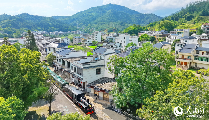 游客搭乘森林小火車觀賞鄉村田園和綠色森林美景。人民網記者 朱海鵬攝