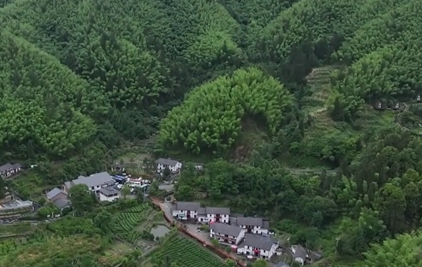 【视频】井冈山神山村：昔日的穷山村，现在的幸福村