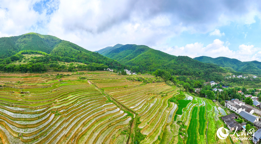 赣州市大余县河洞乡长岭村，阡陌纵横的高山梯田与青翠的树木、错落的农房相映成景。人民网记者 朱海鹏摄